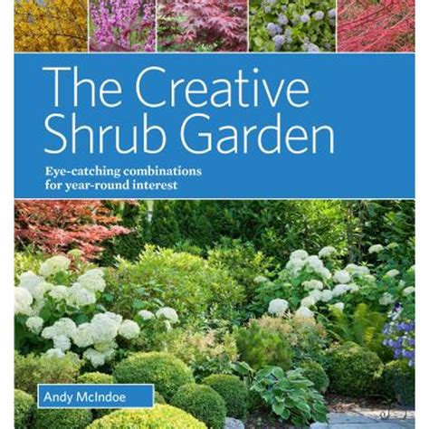 creative shrub garden eye catching combinations t