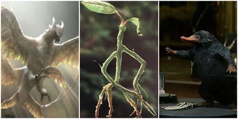 Creature And Beasts