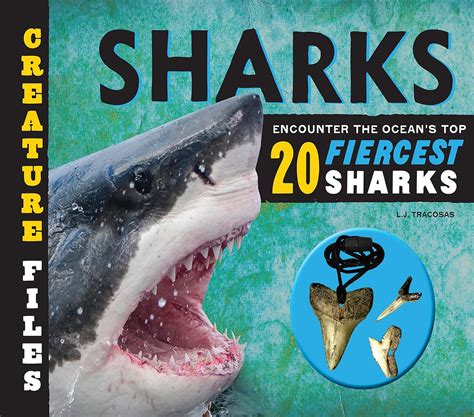 Creature Files Sharks Encounter The Ocean S Top 20