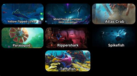 Creatures 2 How To Guide