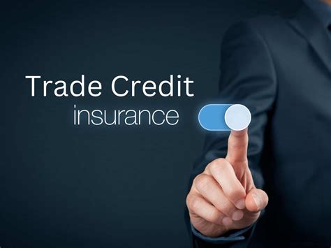 Read Online Credit Insurance 