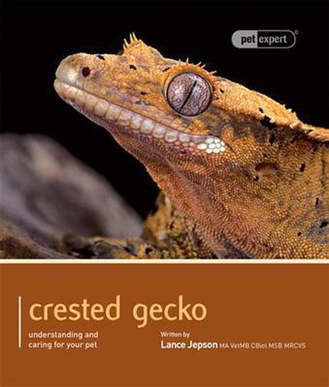 crested gecko pet expert understanding and caring