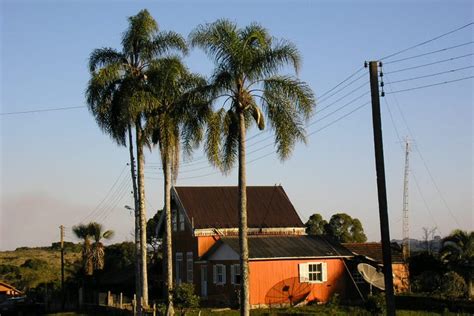 Amanhecer na Criúva. Caxias do Sul RS. Crédito Miriam Cardoso de Souza Rio Grande Do Sul