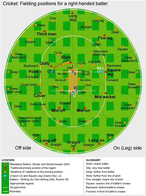 Cricket Field Positions