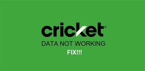 Cricket Not Working