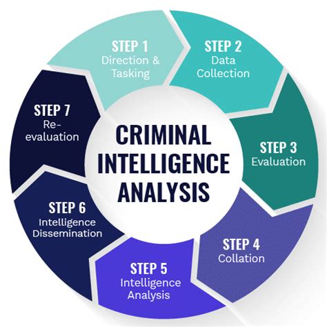 Criminal Intelligence Analysis