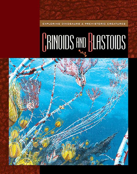 crinoids and blastoids exploring dinosaurs and pr