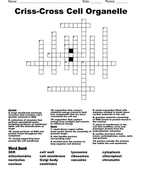 Criss Cross Cell Organelle Crossword Wordmint Criss Cross Puzzle Cells Answers - Criss Cross Puzzle Cells Answers