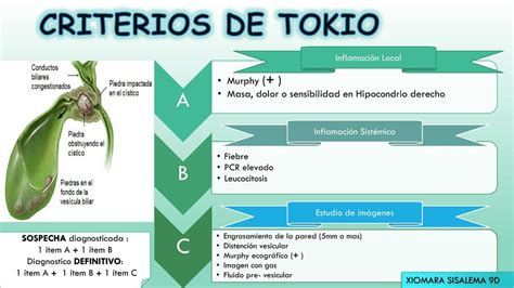 Criterios De Tokio