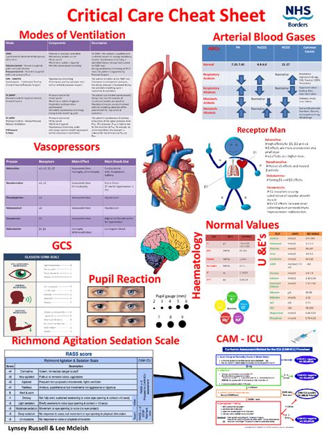 Critical Care Cheat Sheet