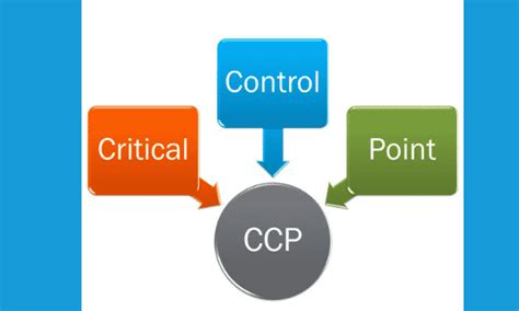 Critical Control Point Meaning