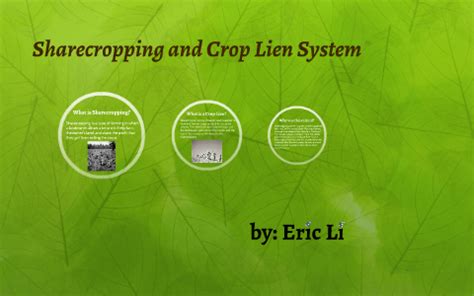 Crop Lien System