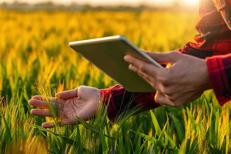 Crop Management