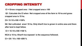 Cropping Intensity Formula