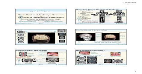 Read Online Cross Sectional Anatomy By Ct And Intro To Ct Procedures 