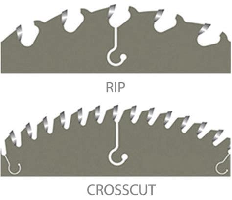 Crosscut Vs Rip Saw
