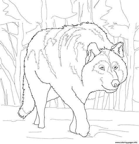 Crouching Gray Wolf Coloring Page Free Printable Coloring Gray Wolf Coloring Page - Gray Wolf Coloring Page