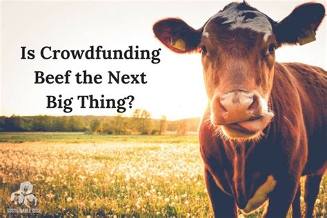 Read Online Crowdfunding The Next Big Thing 