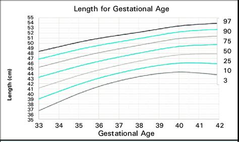 Crown Heel Length