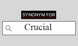Crucial Synonym