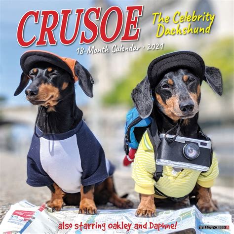 crusoe the celebrity dachshund 2018 calendar