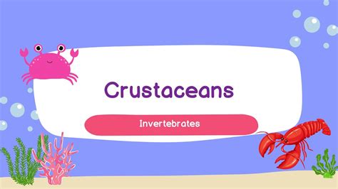 Crustaceans For Kids Kindergarten Educational Video Features Crustacean Worksheet For Kindergarten - Crustacean Worksheet For Kindergarten