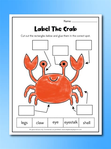 Crustaceans Free Download And Printable Science Worksheet For Crustacean Worksheet For Kindergarten - Crustacean Worksheet For Kindergarten