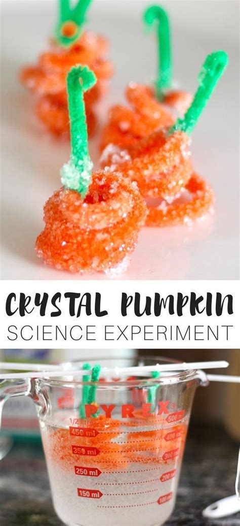 Crystal Pumpkins Experiment Little Bins For Little Hands Science Activities With Pumpkins - Science Activities With Pumpkins