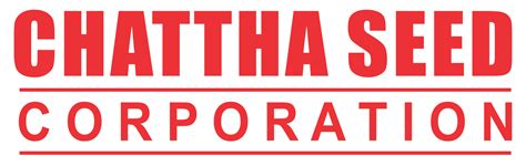 premier bet: Apostas Desportivas Online com Garantia de Segurança Financeira para Todos os Jogadores - Foto 2