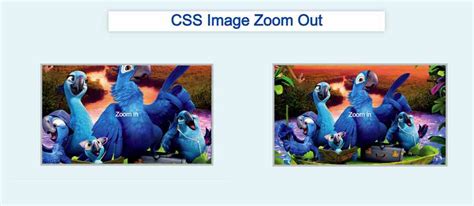 css background image zoom