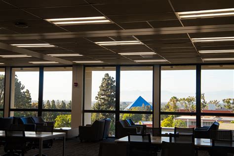 Csulb Library Hours