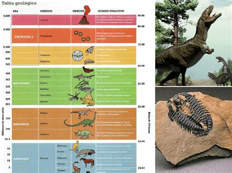 Cuando Existieron Los Dinosaurios