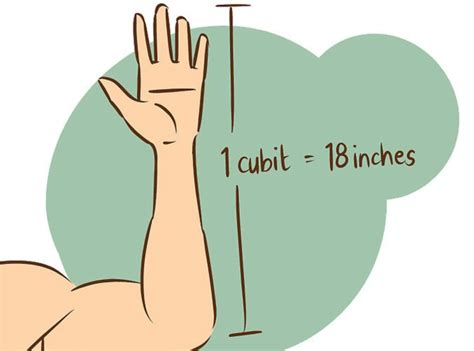 cubit is how long