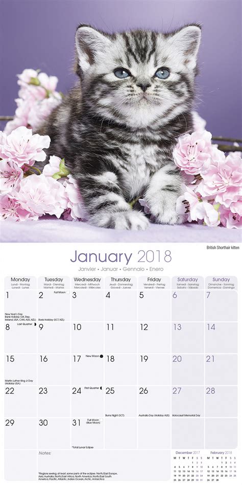 Download Cuddly Kittens 2018 Wall Calendar 