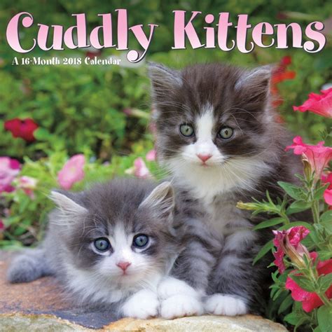 Download Cuddly Kittens 2018 Wall Calendar 
