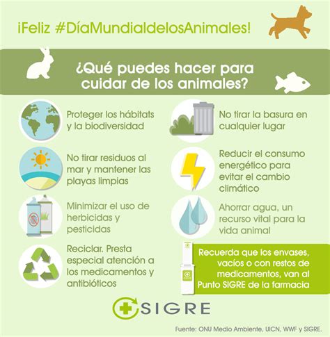 Cuidado De Los Animales