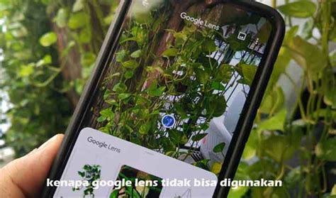 Cukup Foto Google Lens Bisa Selesaikan Pr Matematika Aplikasi Untuk Menjawab Soal Matematika Dengan Cara Di Foto - Aplikasi Untuk Menjawab Soal Matematika Dengan Cara Di Foto