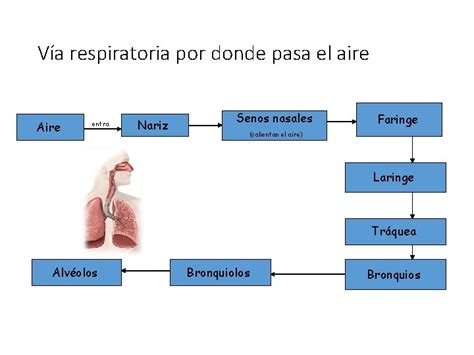 Cuál Es La Función De La Infografía