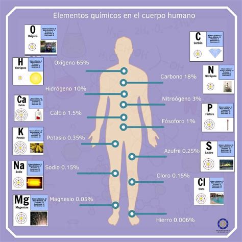 Cuáles Son Los Elementos De La Comunicación