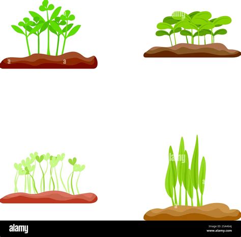 Cultivating Development