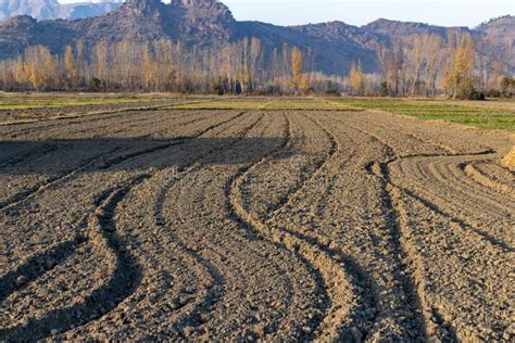 Cultivating The Empty Fields The Silent Illuminati