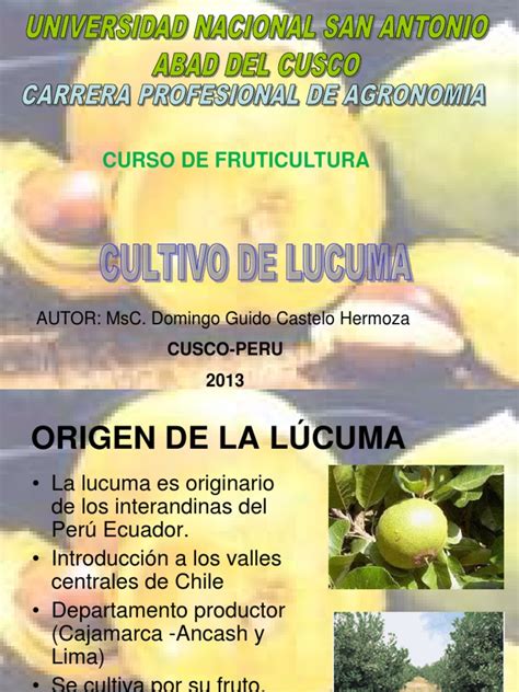 cultivo de lucuma pdf