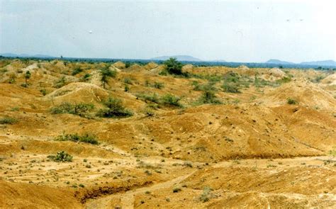 Culturable Waste Land