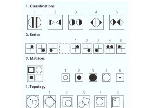 Culture Fair Intelligence Test