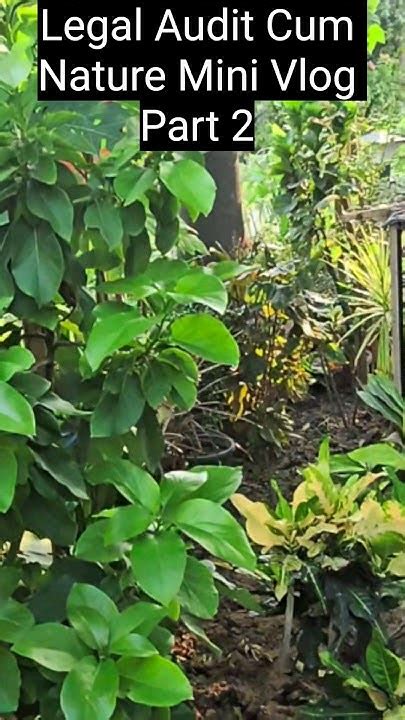 Instagram post by Cassandre Rau #6