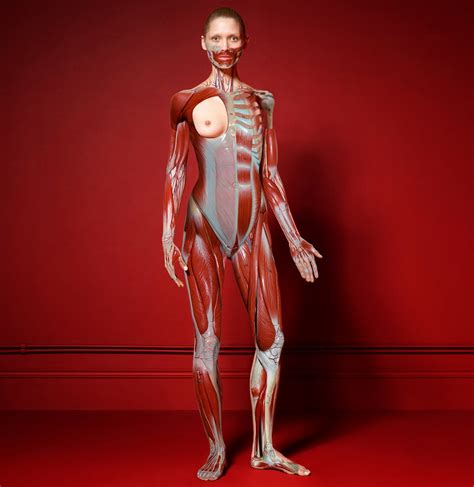 cuneyt akeroglu biography sampler