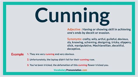 Cunning Synonym