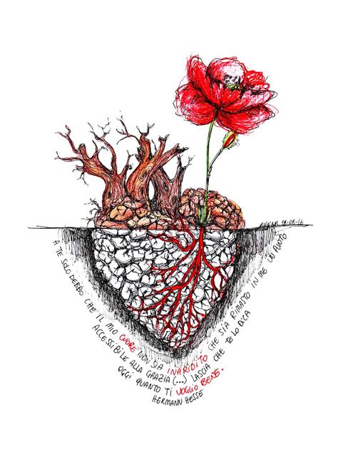 Cuore ( Radici)