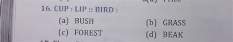 Cup Lip Bird