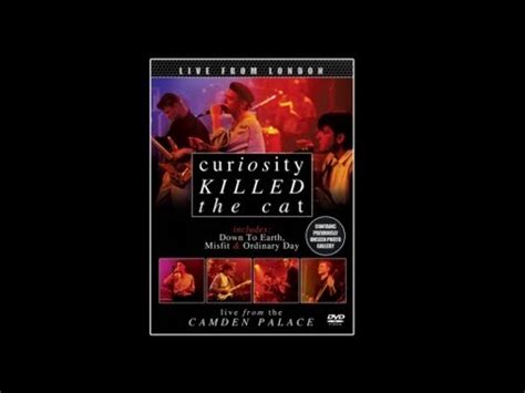 curiosity killed the cat red lights torrent